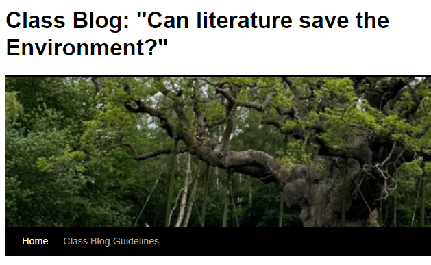 Can literature save the Environment? (Michael Marx, English)