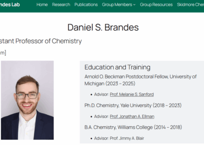 Daniel S. Brandes, Chemistry